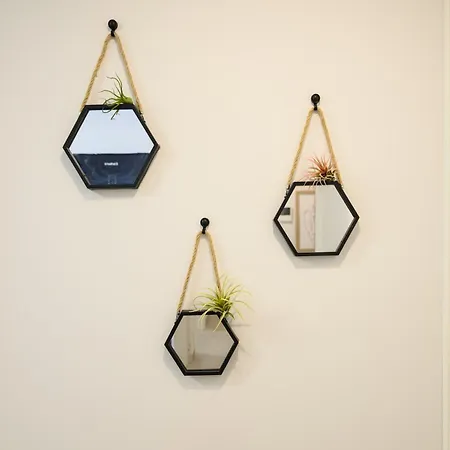 Joyful Homes *